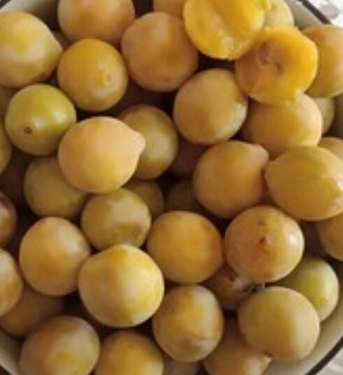 Алыча (ткемали, мирабель) — это разновидности сливы. Бывает алыча ярко-жёлтого цвета и тёмная, содержащая много пектинов.