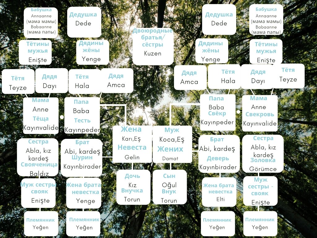 Названия ВСЕХ турецких родственников (инфографика) | PRO Turetskiy | Дзен