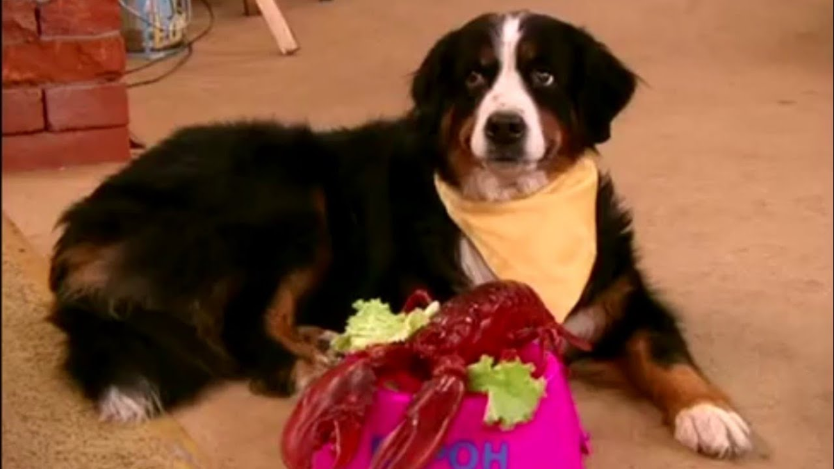 Барон из сериала Счастливы вместе .