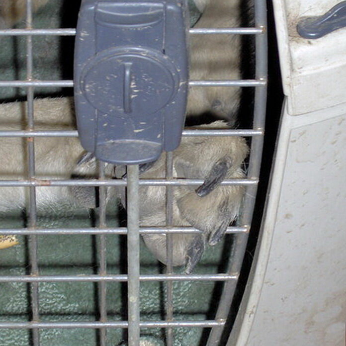 Фото из личного 