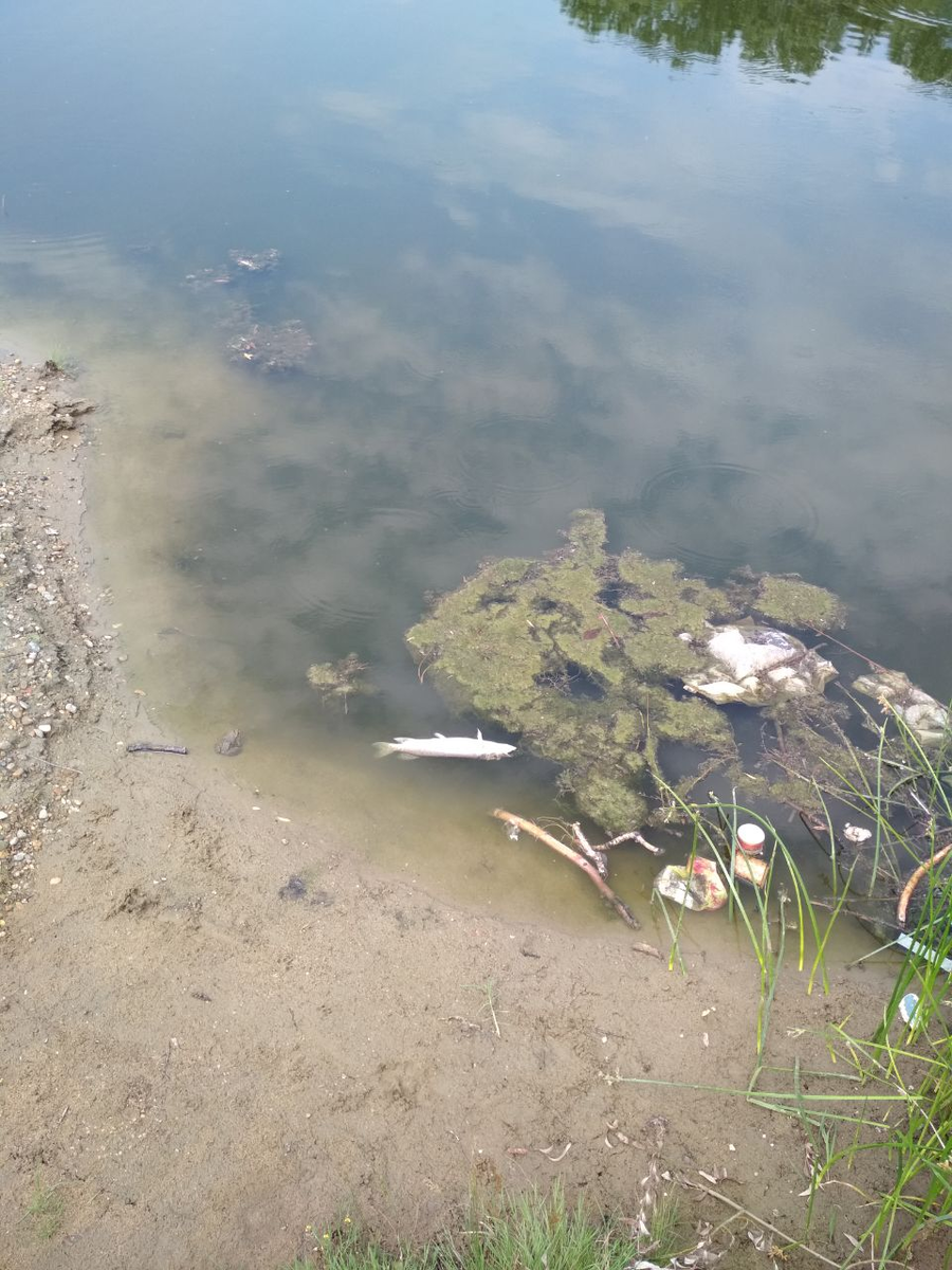 Фото - автор Всеволод Калита