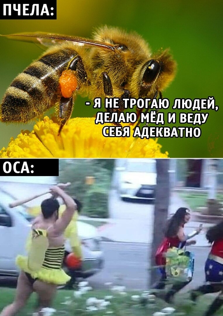 Все как в жизни, правда? 