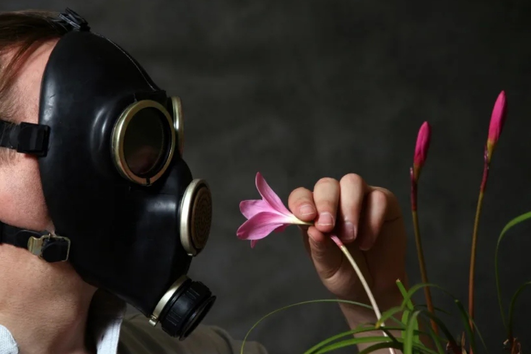 Источник: Яндекс.картинки.