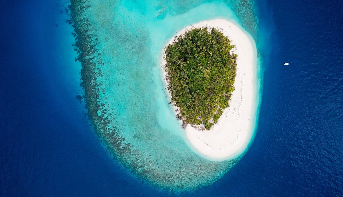 Photo by Hoodh Ahmed on Unsplash