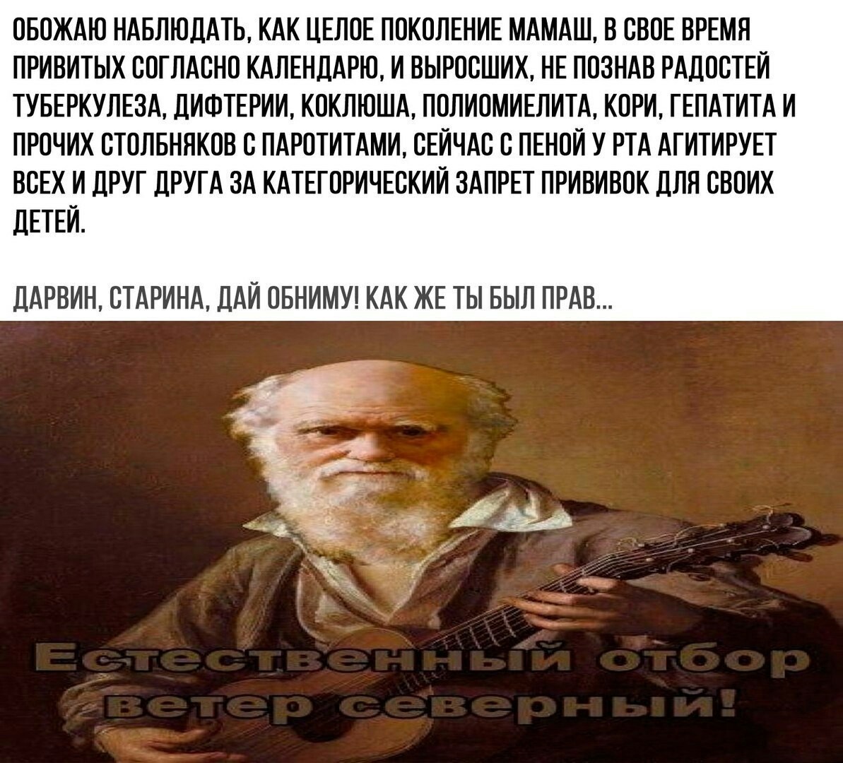 Источник: https://pikabu.ru/story/estestvennyiy_otbor_5534903