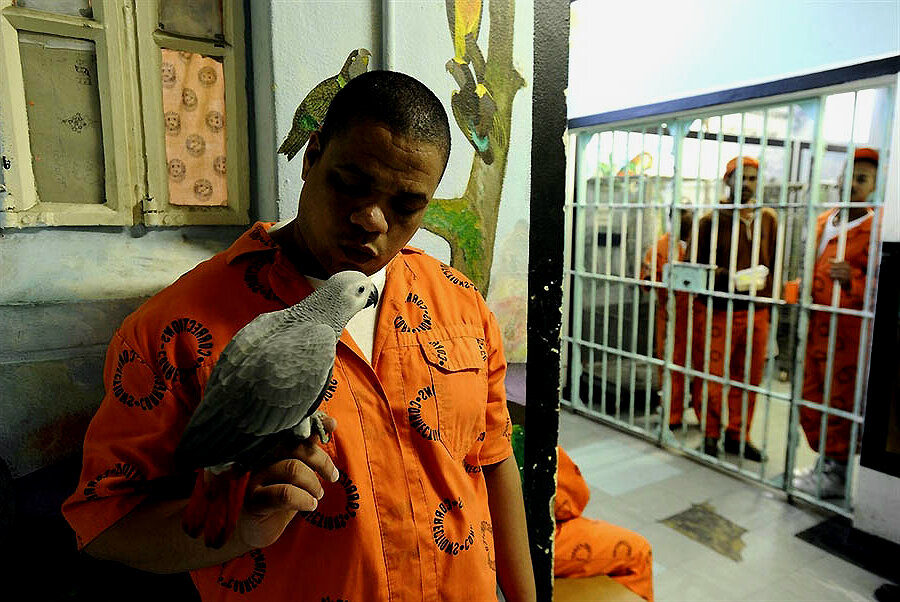   Фото из открытого источника