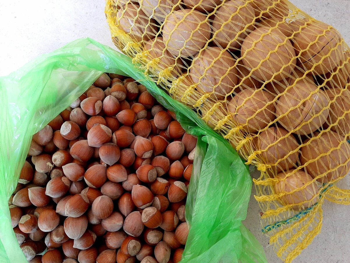 Наш "улов" по дороге домой :)