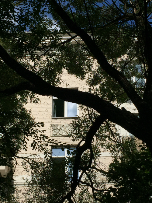 Для иллюстрации использованы авторские  фото Москвы 