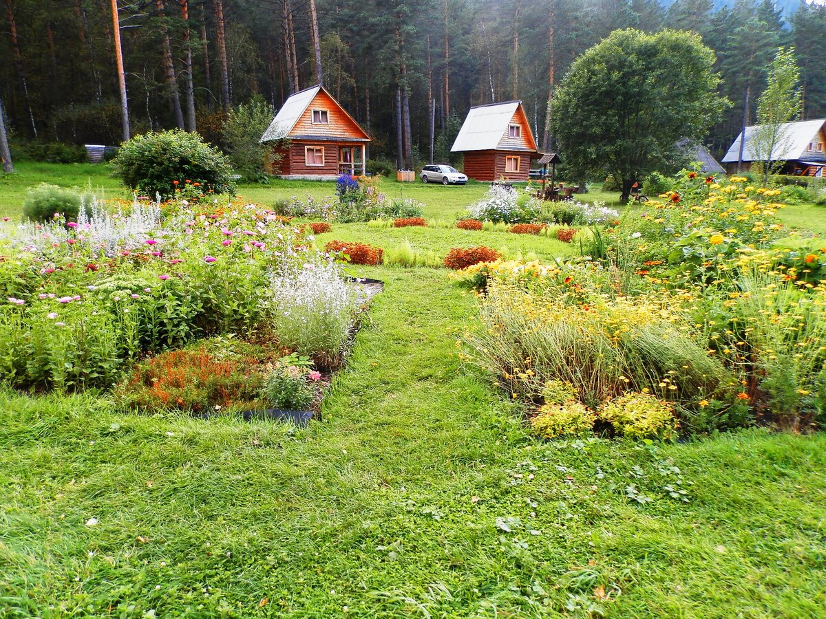 Ботанический сад горный Алтай Камлак