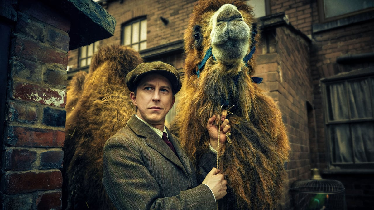 Зоопарк трейлер. Спектакль чердачные истории мамин театр. Мы купили зоопарк трейлер. Зоопарк трейлер. Эль фаннинг мы купили зоопарк.