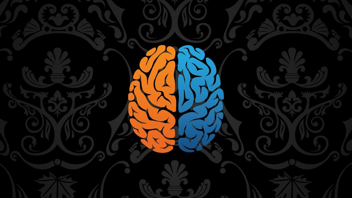 Подписывайтесь на канал! Впереди Вас ждет много интересного.