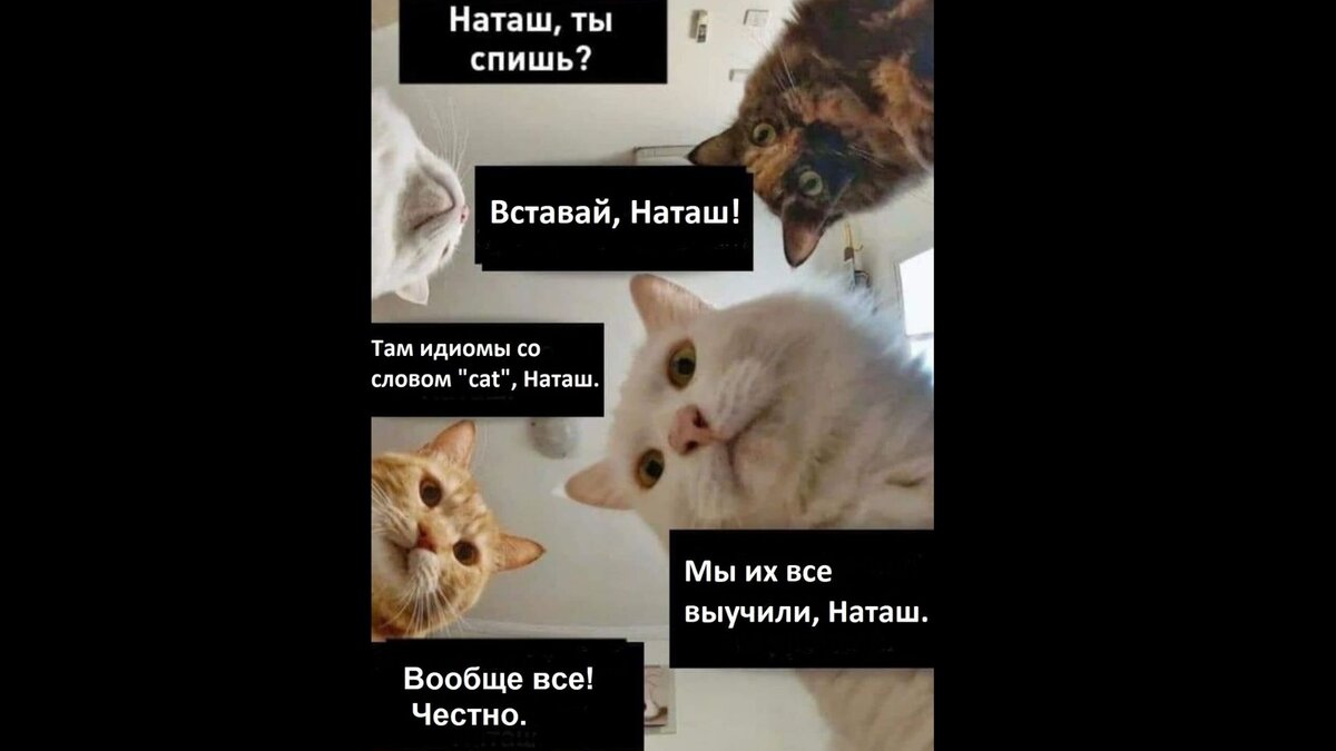 Коллаж автора