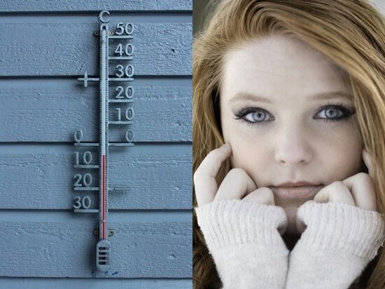 Фото - pixabay.com