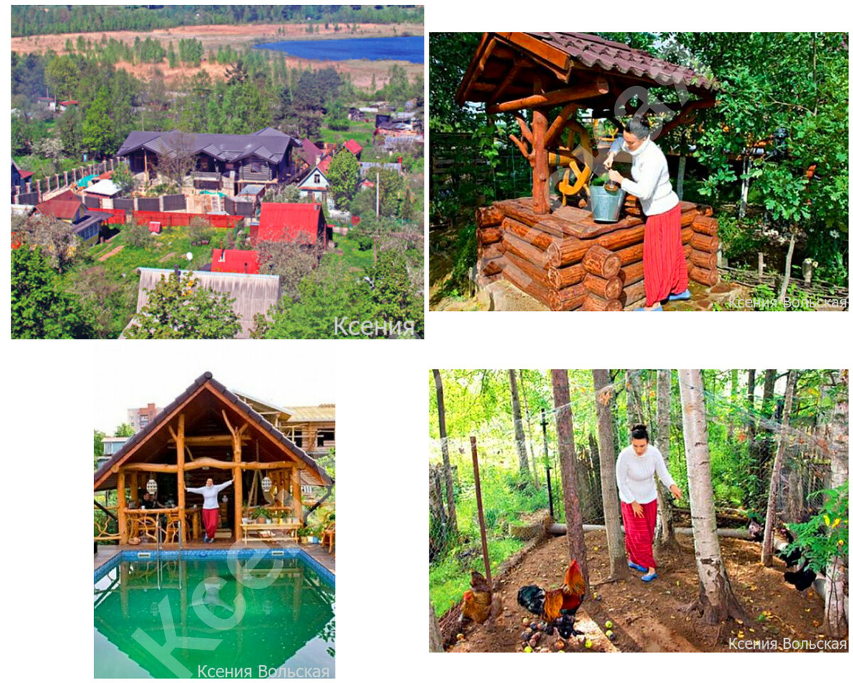 Дом и участок Елены Ваенги: действующий колодец, баня с бассейном, собственное хозяйство: курочки.
