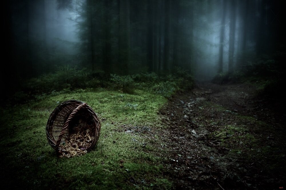 Фото из открытых источников.