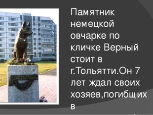 Памятник овчарке в тольятти история фото