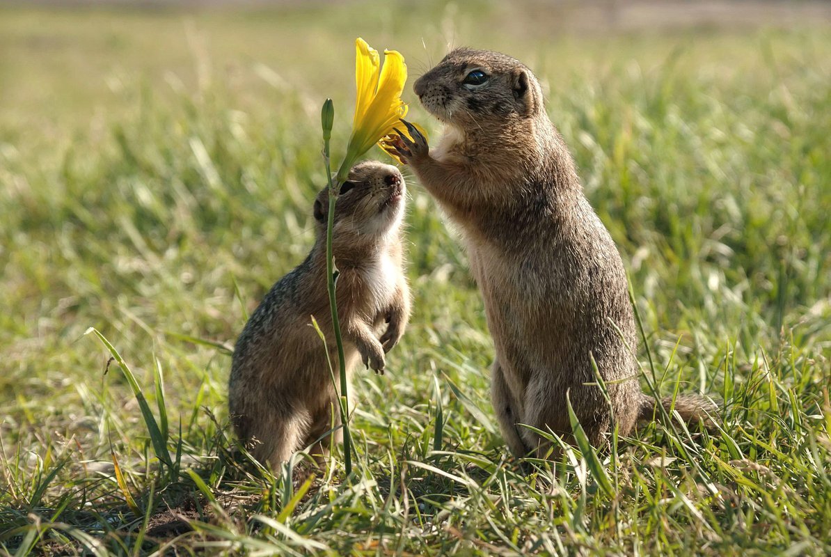 Фото из интернета