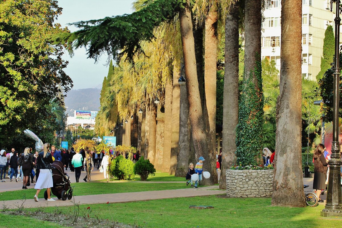 понятно что в Сочи тепло и даже зимой редко бывает минус, но даже для теплого Сочи сейчас ооочень тепло. даже жарко))