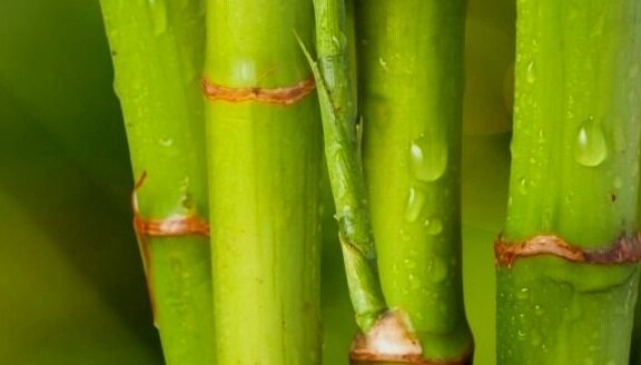 Источник фото Яндекс.Картинки