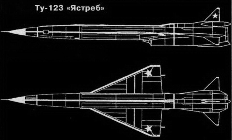 Принципиальная схема  ДБЛА Ту-123 "Ястреб"