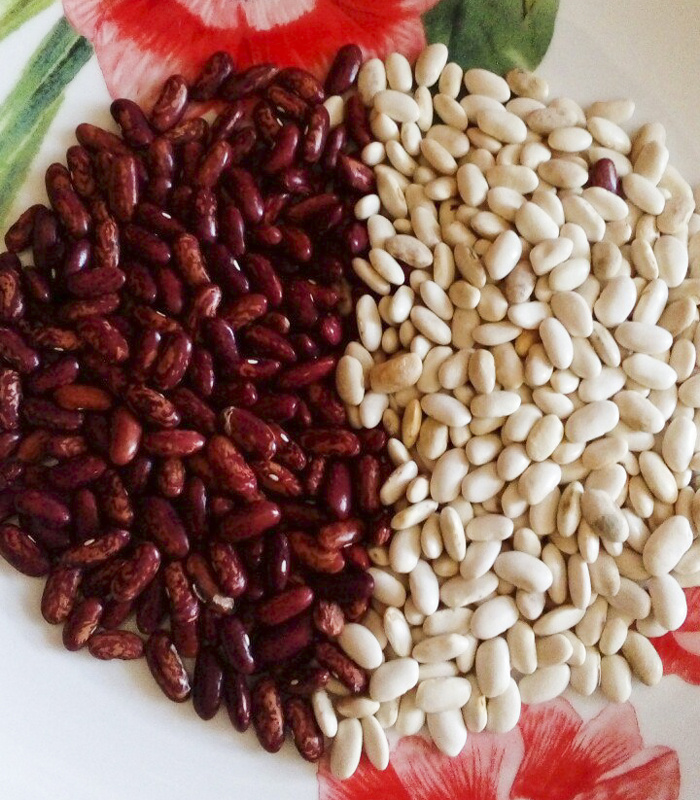 фасоль(Яндекс фото)