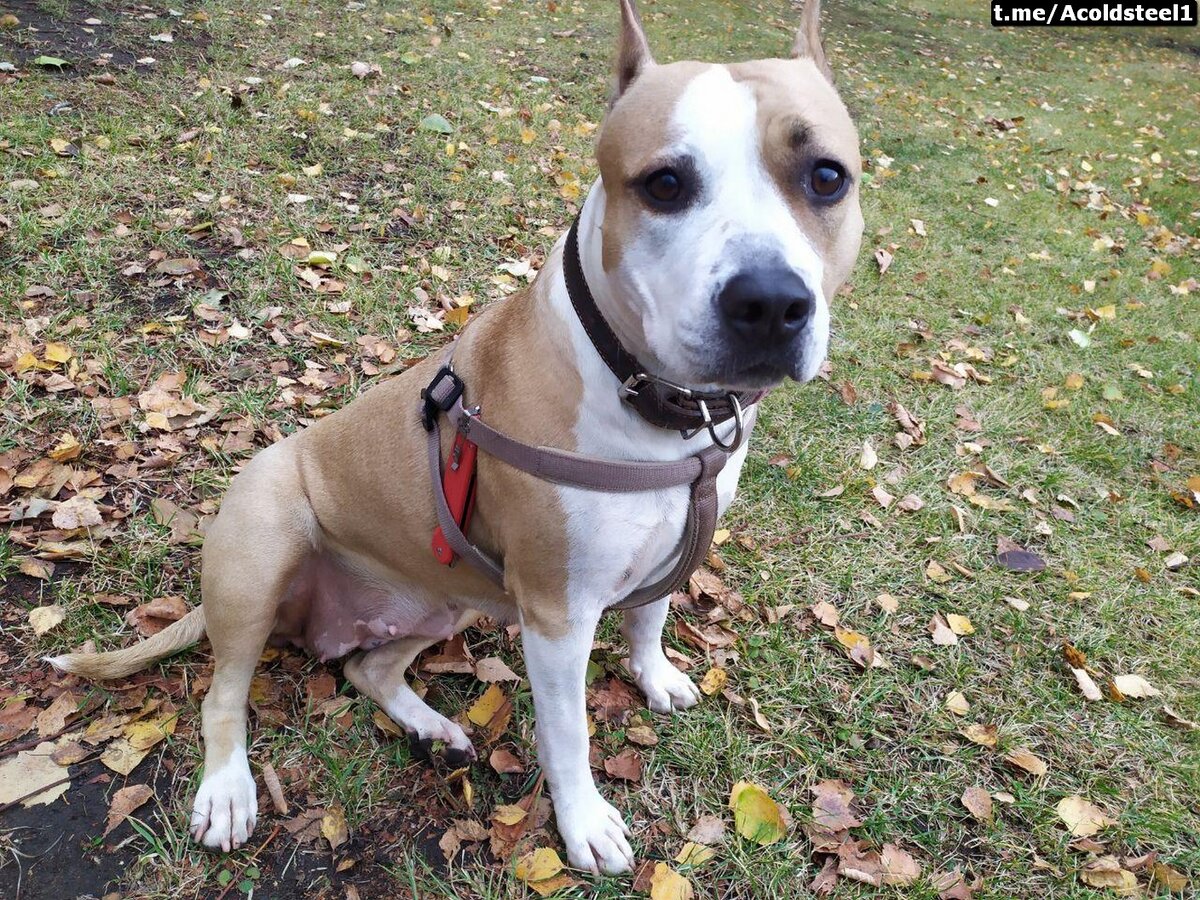 Девочка и нож))). 