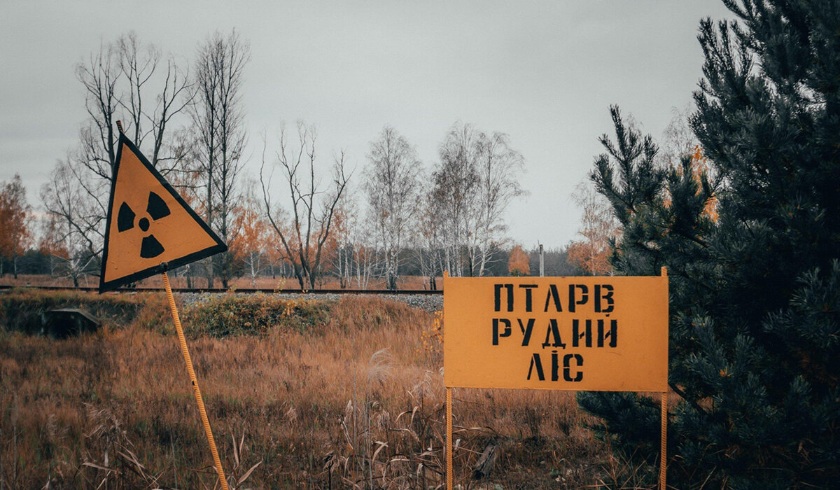 Зона отчуждения Чернобыльской АЭС рыжий лес. Рыжий лес Припять 1986. Радиоактивный лес Чернобыль. Рыжий лес Припять.