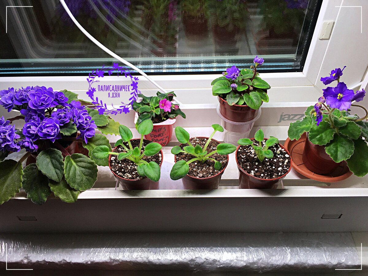 К зиме — готовы! Обратите, пожалуйста, внимание на пенопластовую подставку под цветами. 