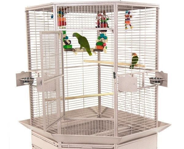 Расположение клетки для попугая в домашних условиях - Форумы о попугаях