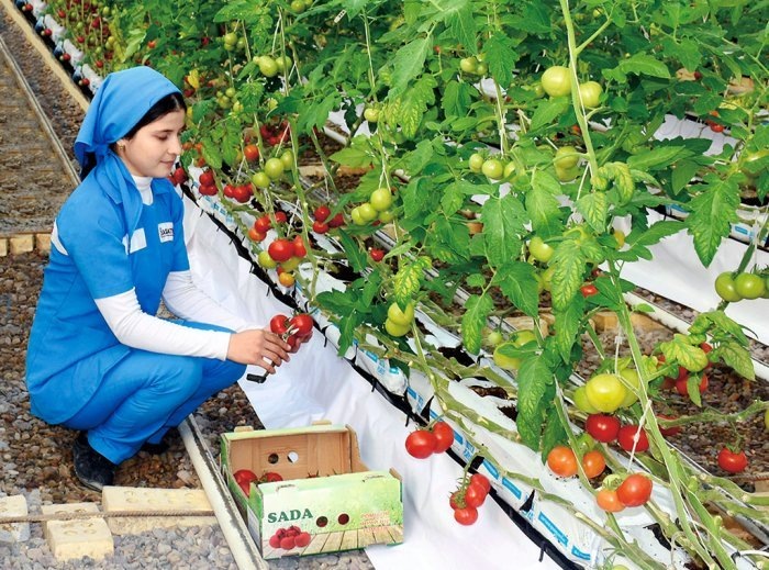 Источник фото: Centralasia.news