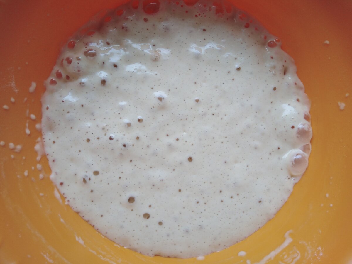 Готовая опара