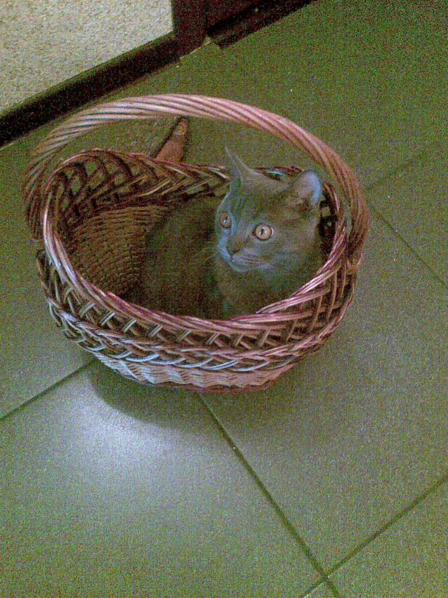 Домики бывают разные.