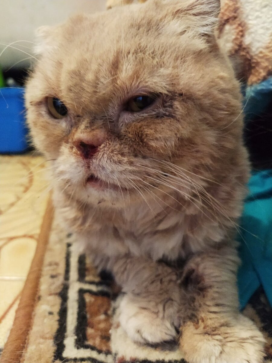 Фото сделано в апреле 2020