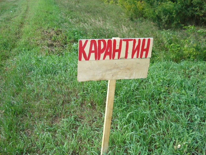 Источник:Яндекс.Картинки.