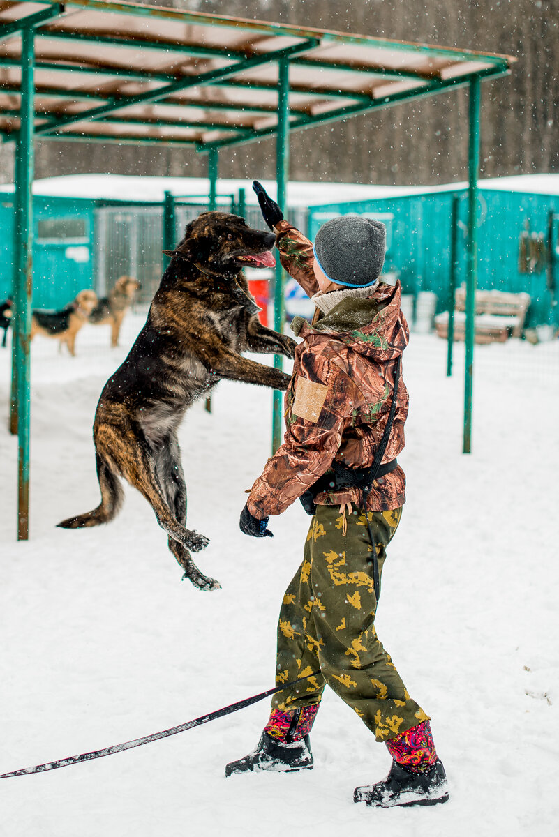 На невидимых пружинках
