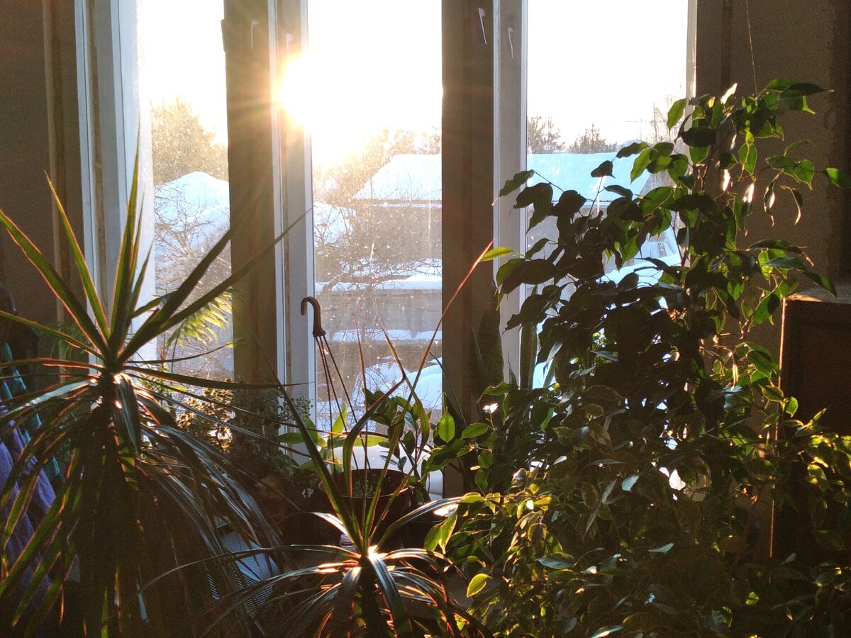 Яркие лучи наполнили комнату