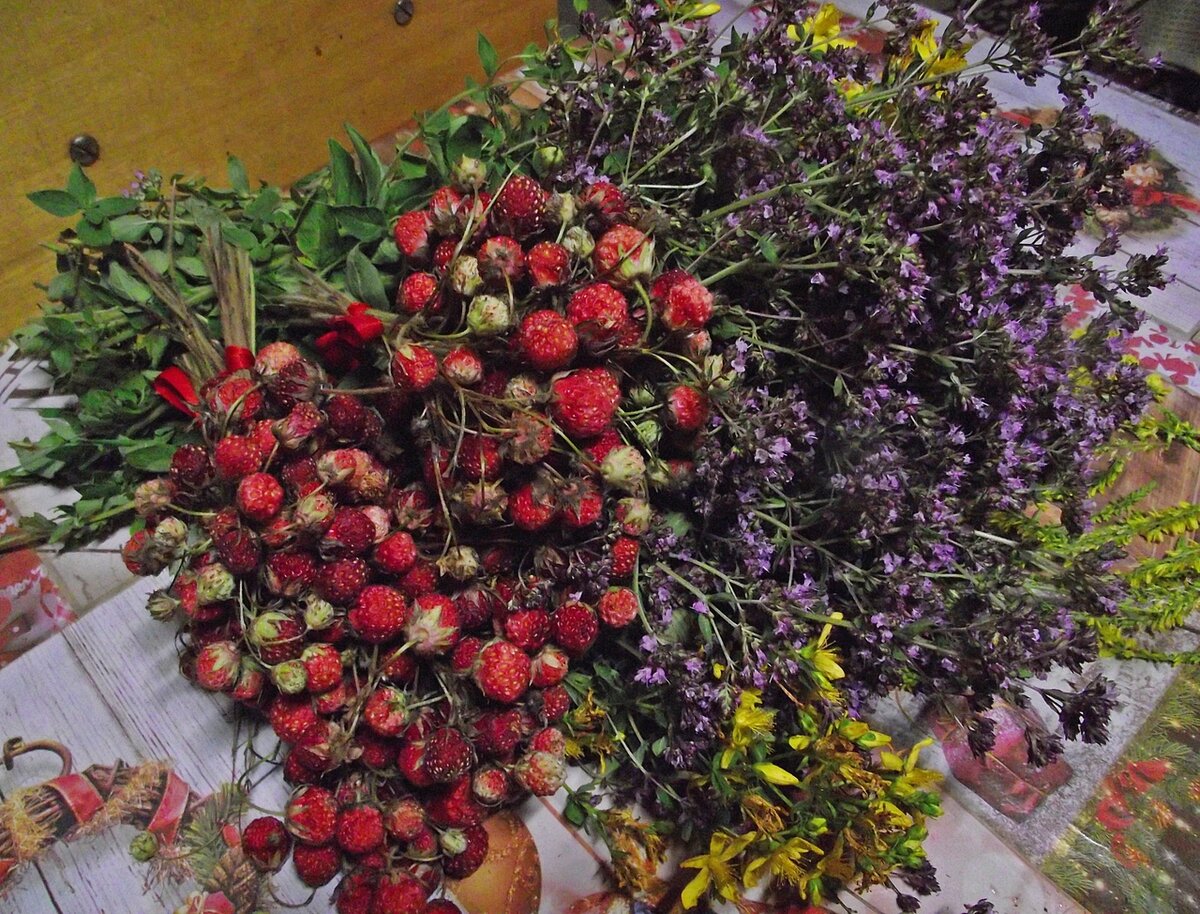 фото автора , летние дары  от природы 