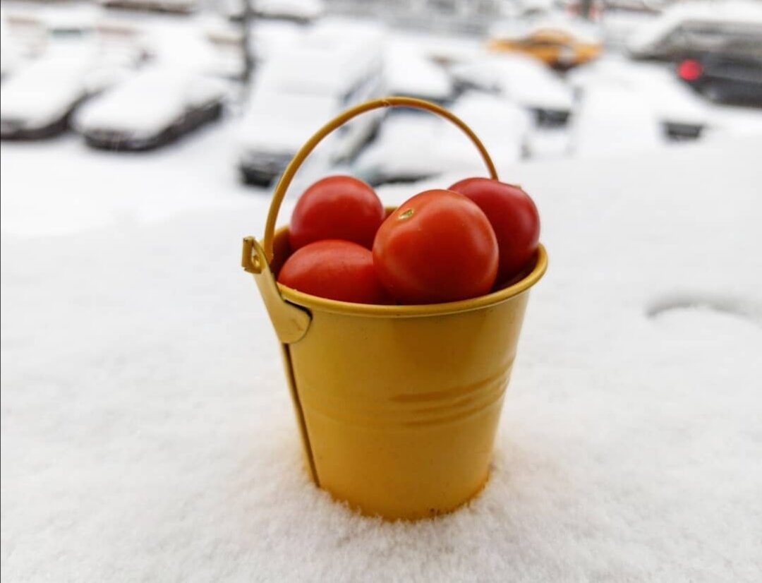 Мини ведёрко декоративное) 