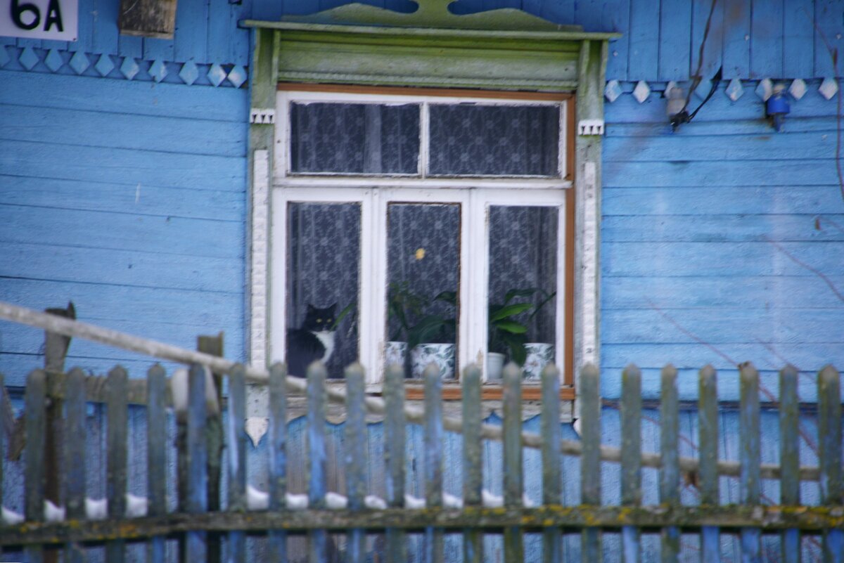 Фото Алины Студёновой
