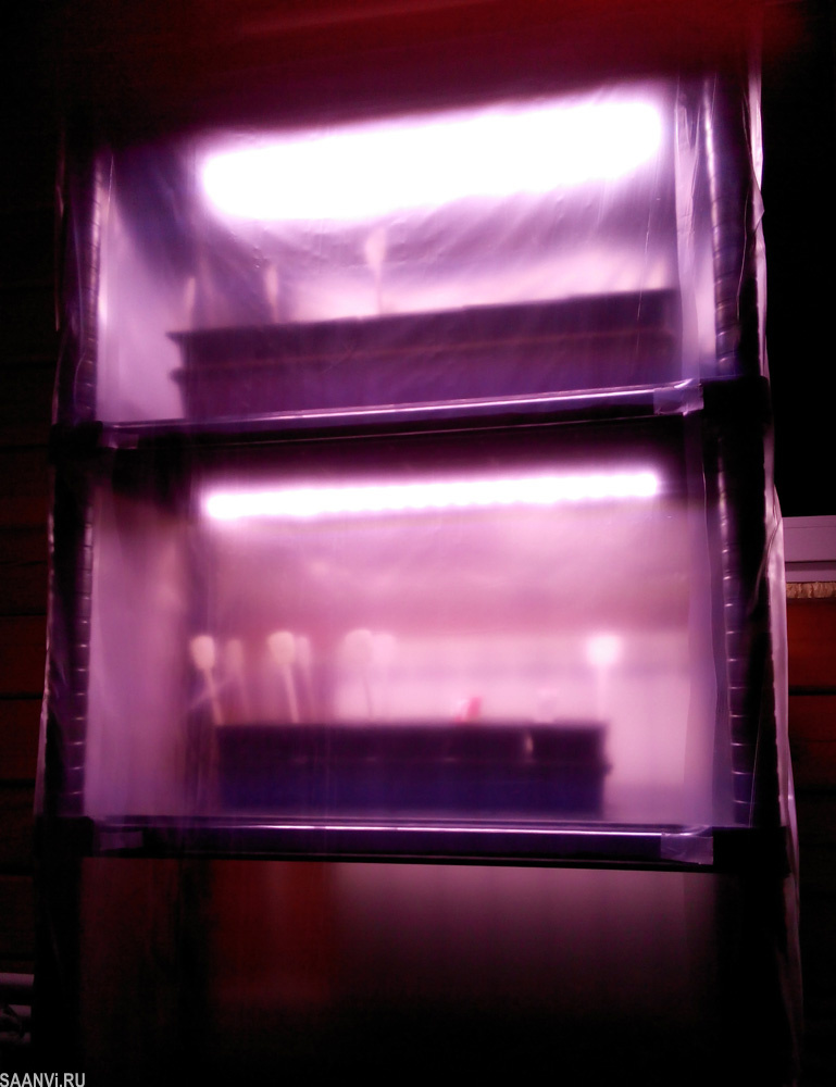 люксовый парник для рассады