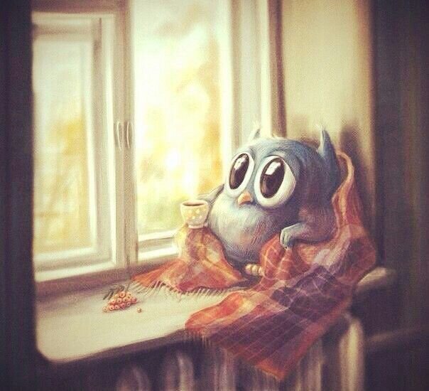 Где-то там, где мириады звёзд, летели самолёты.