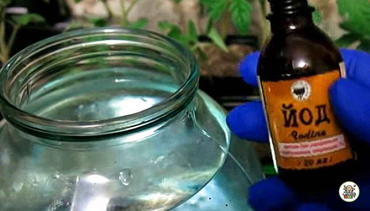 Делаем раствор йода