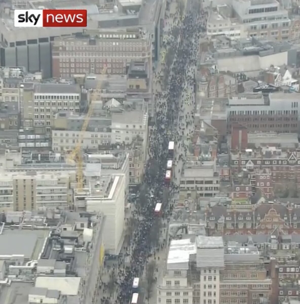 Демонстрация в Лондоне. Скриншот трансляции Skynews.