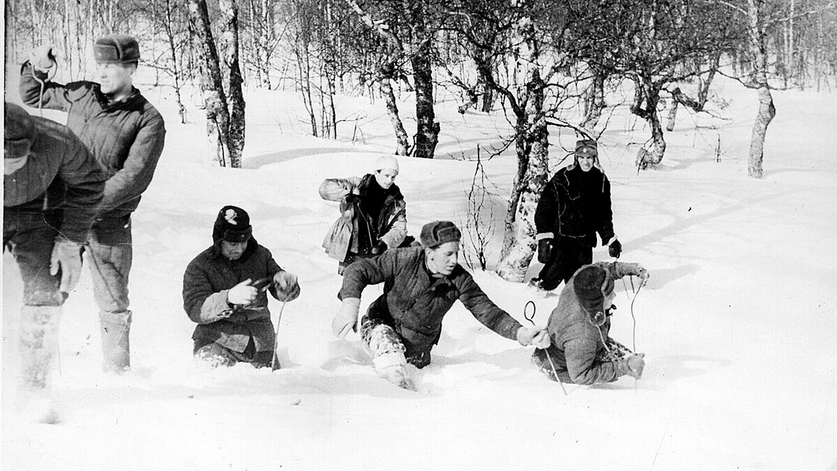 Перевал Дятлова. 