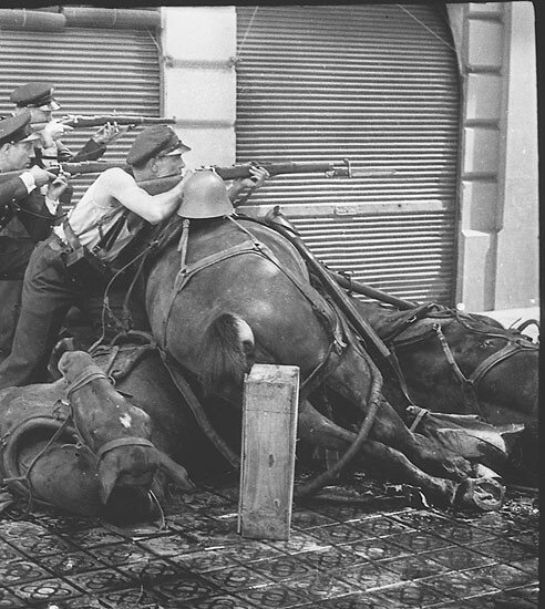 
Баррикады из убитых лошадей. Барселона. Июль 1936 года.