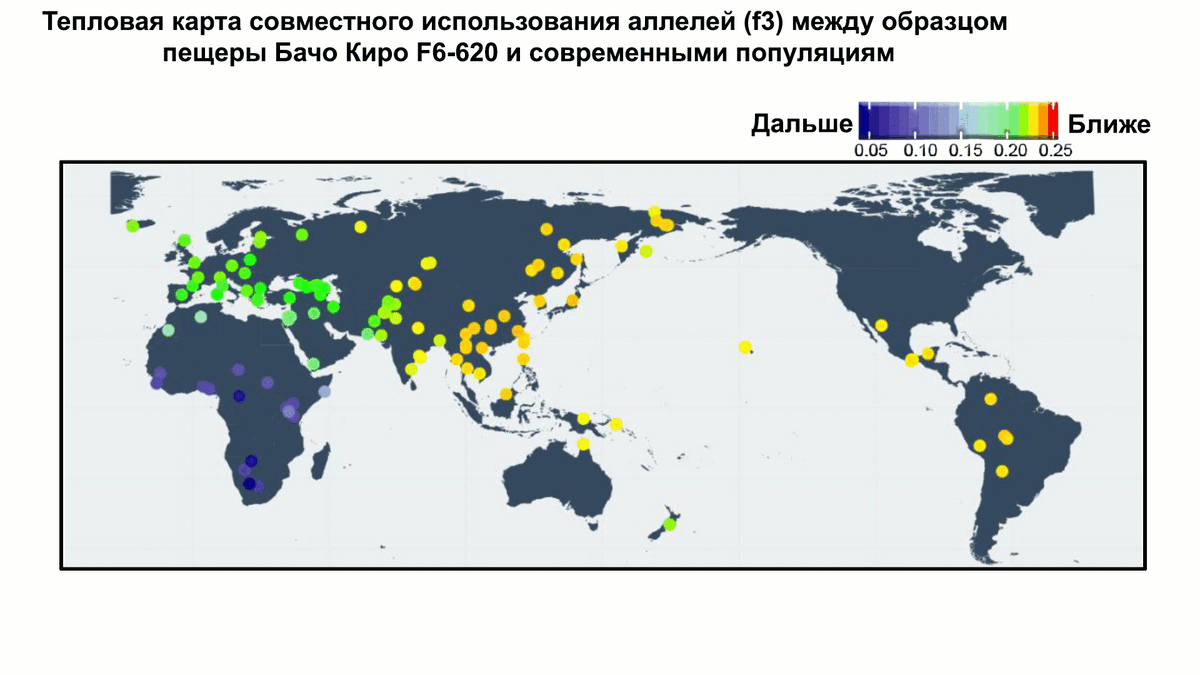 Тепловая карта совместного использования аллелей (gif анимация)