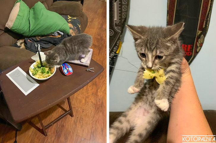  Источник: pinterest.com