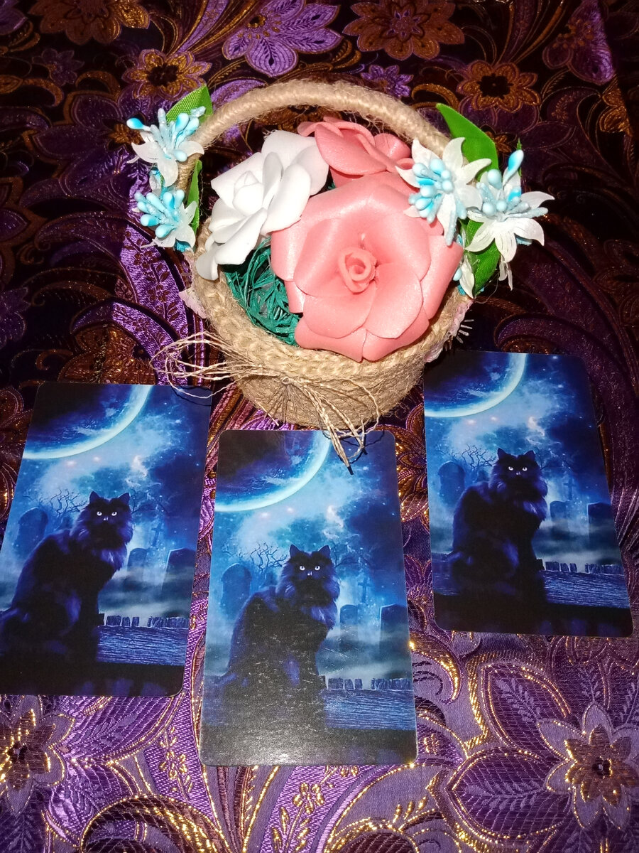 Выберите свой вариант)) 