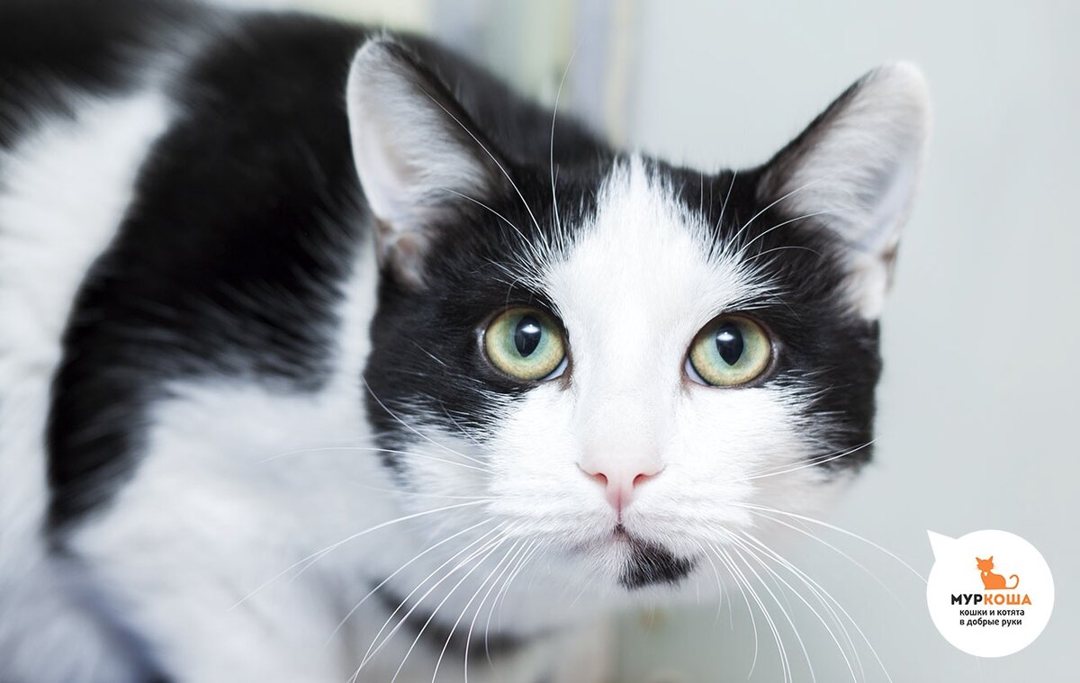 Сладкий, как конфетка!