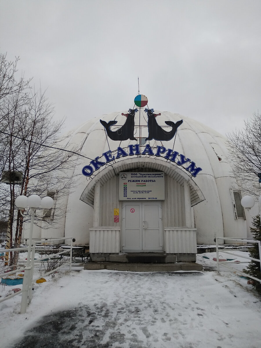 Специалисты ИПЭЭ РАН поддержали идею оставить животных Мурманского океанариума в